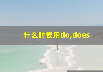 什么时侯用do,does