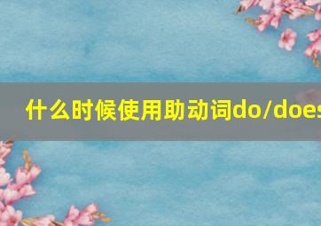 什么时候使用助动词do/does