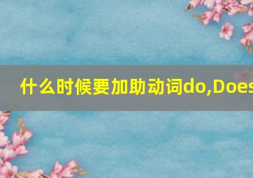 什么时候要加助动词do,Does