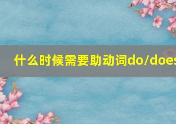 什么时候需要助动词do/does