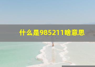 什么是985211啥意思