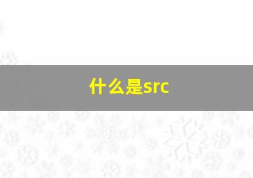 什么是src