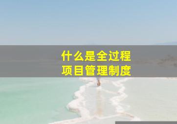 什么是全过程项目管理制度