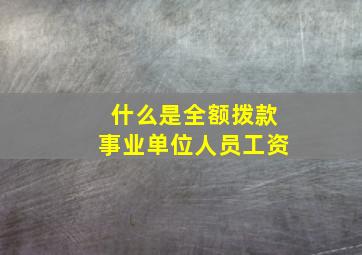 什么是全额拨款事业单位人员工资