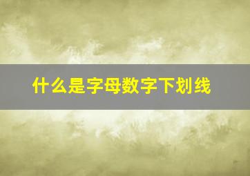 什么是字母数字下划线