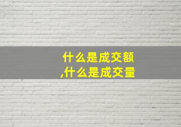 什么是成交额,什么是成交量