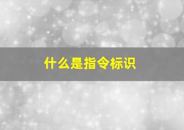 什么是指令标识