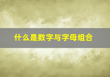 什么是数字与字母组合