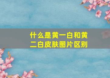 什么是黄一白和黄二白皮肤图片区别