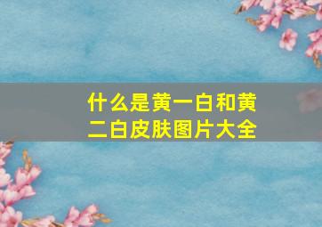 什么是黄一白和黄二白皮肤图片大全