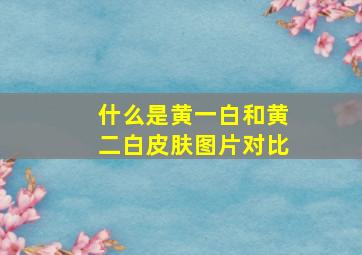 什么是黄一白和黄二白皮肤图片对比