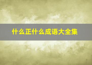 什么正什么成语大全集