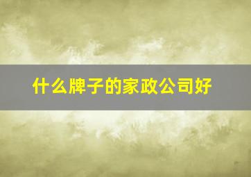 什么牌子的家政公司好