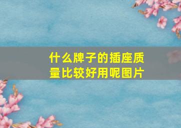 什么牌子的插座质量比较好用呢图片