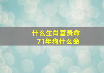 什么生肖富贵命71年狗什么命