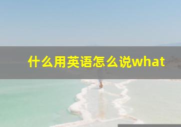 什么用英语怎么说what