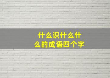 什么识什么什么的成语四个字