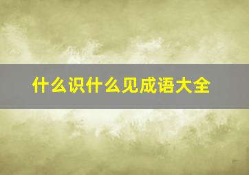 什么识什么见成语大全