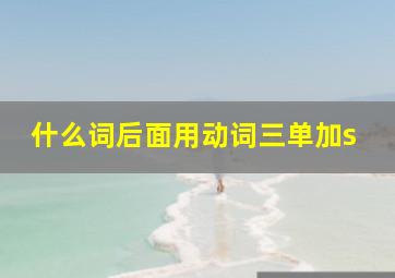 什么词后面用动词三单加s