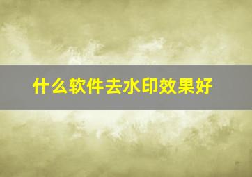 什么软件去水印效果好