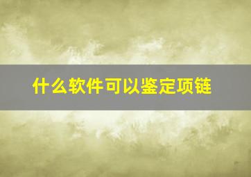 什么软件可以鉴定项链