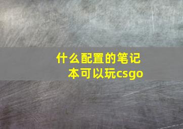 什么配置的笔记本可以玩csgo