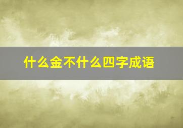 什么金不什么四字成语