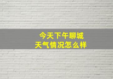 今天下午聊城天气情况怎么样