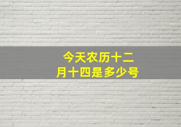 今天农历十二月十四是多少号