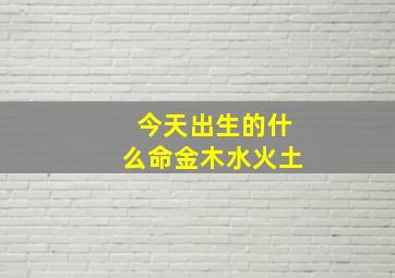 今天出生的什么命金木水火土