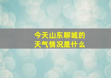 今天山东聊城的天气情况是什么