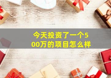 今天投资了一个500万的项目怎么样