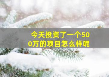 今天投资了一个500万的项目怎么样呢