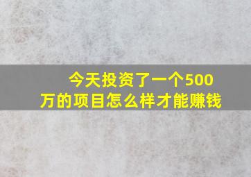 今天投资了一个500万的项目怎么样才能赚钱