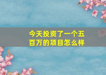 今天投资了一个五百万的项目怎么样