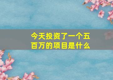 今天投资了一个五百万的项目是什么