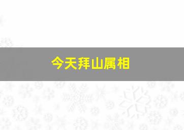 今天拜山属相