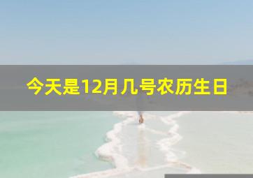 今天是12月几号农历生日