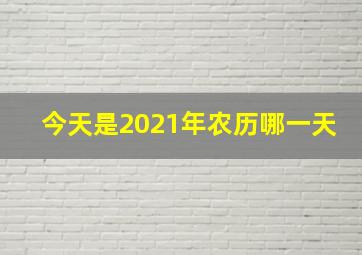 今天是2021年农历哪一天