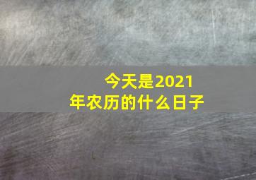 今天是2021年农历的什么日子