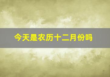 今天是农历十二月份吗