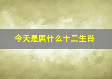 今天是属什么十二生肖