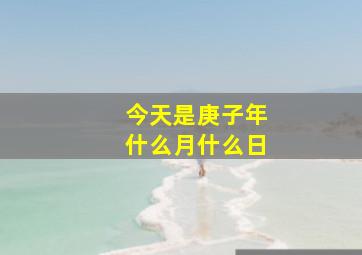 今天是庚子年什么月什么日