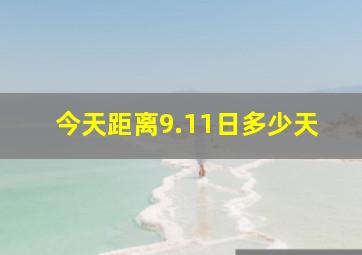 今天距离9.11日多少天