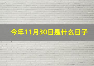 今年11月30日是什么日子