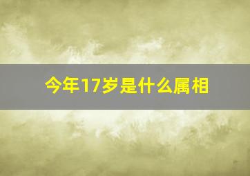 今年17岁是什么属相