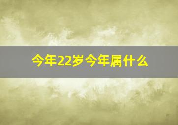 今年22岁今年属什么