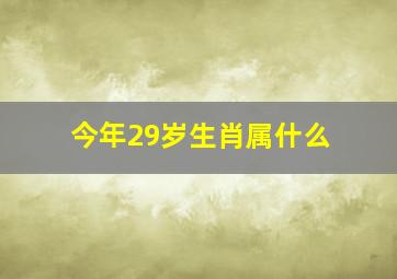 今年29岁生肖属什么