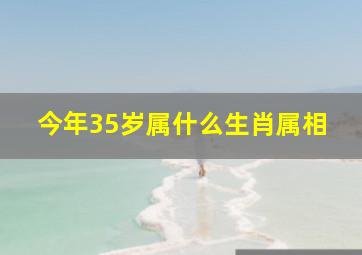 今年35岁属什么生肖属相