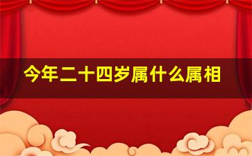 今年二十四岁属什么属相